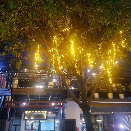 Codohomestay Garden Хюе Екстер'єр фото